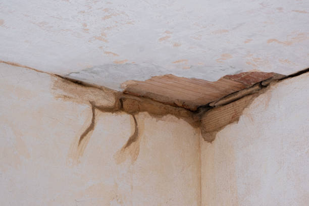 Best Water damage restoration services  in Weatherford, OK