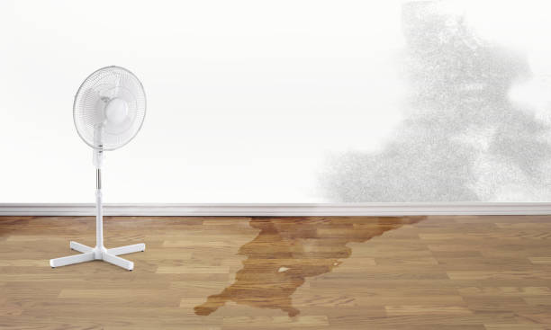 Best Sewage cleanup and water damage restoration  in Weatherford, OK